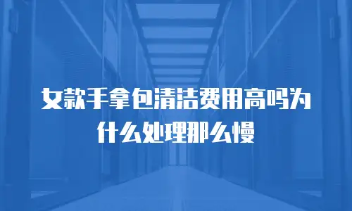 女款手拿包清洁费用高吗为什么处理那么慢