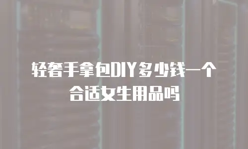 轻奢手拿包DIY多少钱一个合适女生用品吗