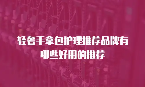 轻奢手拿包护理推荐品牌有哪些好用的推荐
