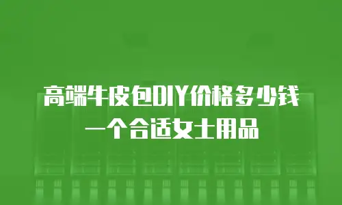 高端牛皮包DIY价格多少钱一个合适女士用品