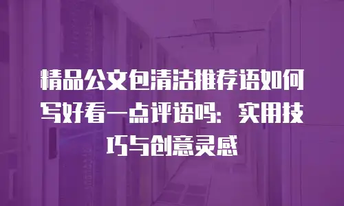 精品公文包清洁推荐语如何写好看一点评语吗：实用技巧与创意灵感
