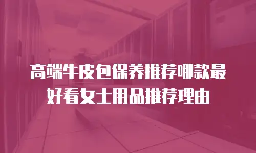高端牛皮包保养推荐哪款最好看女士用品推荐理由