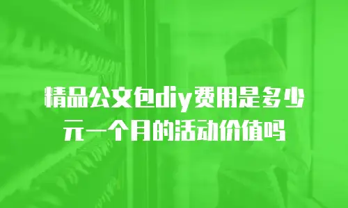 精品公文包diy费用是多少元一个月的活动价值吗