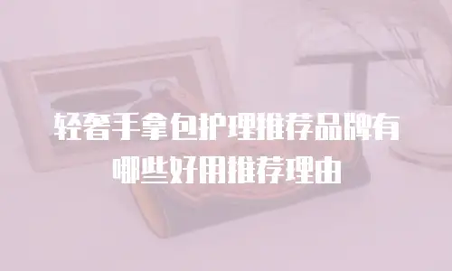 轻奢手拿包护理推荐品牌有哪些好用推荐理由