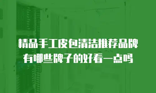 精品手工皮包清洁推荐品牌有哪些牌子的好看一点吗