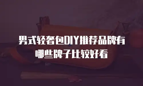 男式轻奢包DIY推荐品牌有哪些牌子比较好看