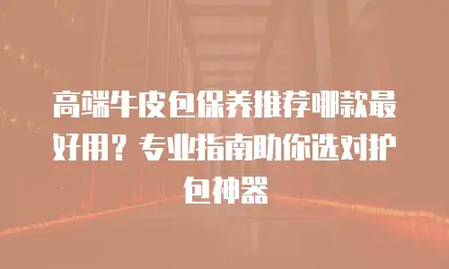 高端牛皮包保养推荐哪款最好用？专业指南助你选对护包神器
