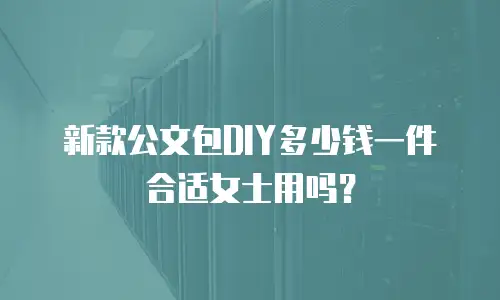 新款公文包DIY多少钱一件合适女士用吗？