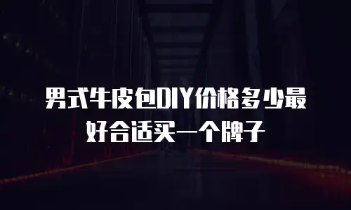 男式牛皮包DIY价格多少最好合适买一个牌子