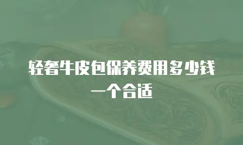 轻奢牛皮包保养费用多少钱一个合适