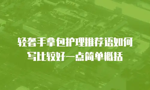 轻奢手拿包护理推荐语如何写比较好一点简单概括