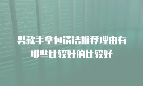 男款手拿包清洁推荐理由有哪些比较好的比较好