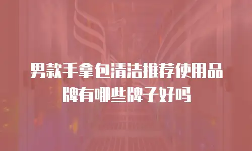 男款手拿包清洁推荐使用品牌有哪些牌子好吗