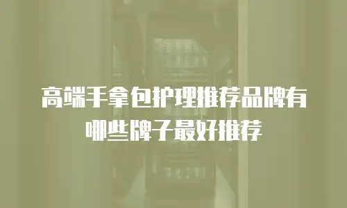 高端手拿包护理推荐品牌有哪些牌子最好推荐
