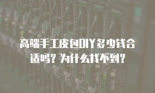 高端手工皮包DIY多少钱合适吗？为什么找不到？