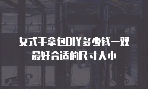 女式手拿包DIY多少钱一双最好合适的尺寸大小