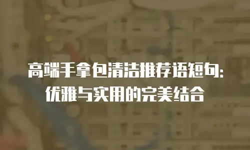 高端手拿包清洁推荐语短句：优雅与实用的完美结合