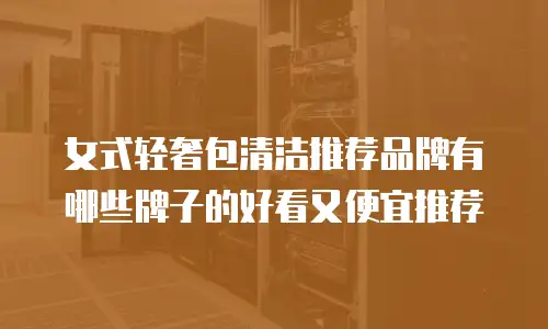 女式轻奢包清洁推荐品牌有哪些牌子的好看又便宜推荐