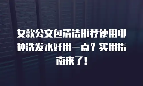 女款公文包清洁推荐使用哪种洗发水好用一点？实用指南来了！