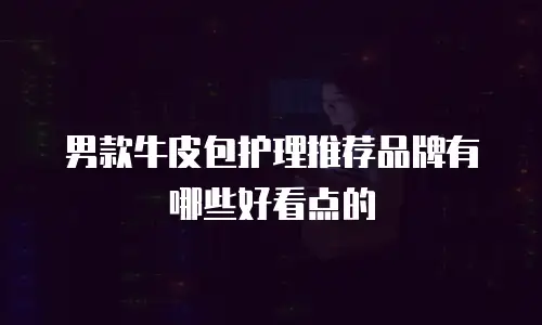 男款牛皮包护理推荐品牌有哪些好看点的