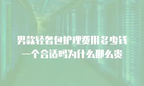 男款轻奢包护理费用多少钱一个合适吗为什么那么贵