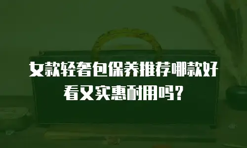 女款轻奢包保养推荐哪款好看又实惠耐用吗？