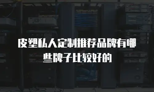 皮塑私人定制推荐品牌有哪些牌子比较好的