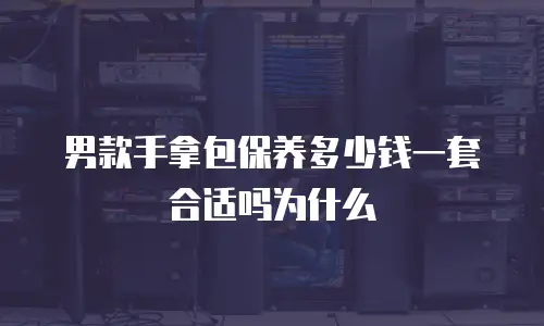 男款手拿包保养多少钱一套合适吗为什么