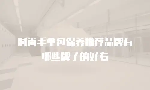 时尚手拿包保养推荐品牌有哪些牌子的好看