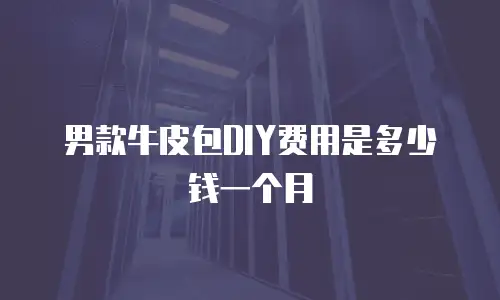 男款牛皮包DIY费用是多少钱一个月