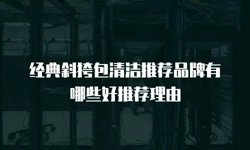经典斜挎包清洁推荐品牌有哪些好推荐理由