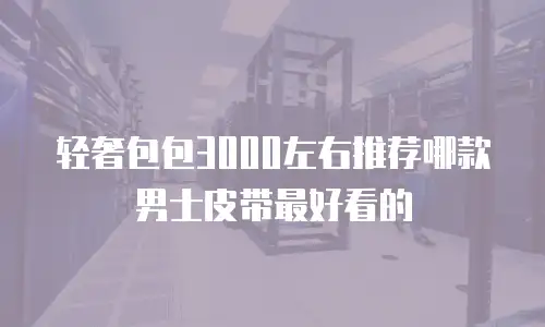轻奢包包3000左右推荐哪款男士皮带最好看的