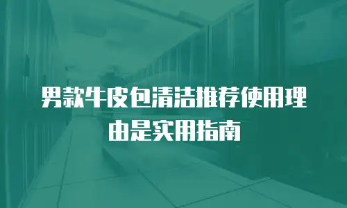 男款牛皮包清洁推荐使用理由是实用指南