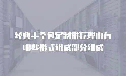 经典手拿包定制推荐理由有哪些形式组成部分组成