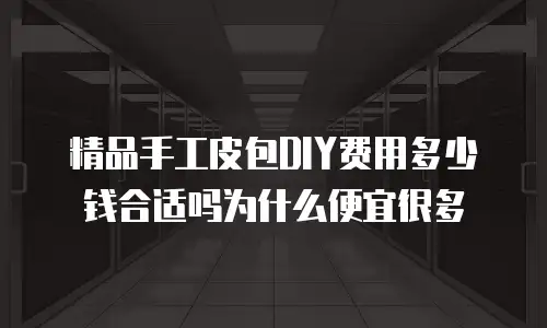 精品手工皮包DIY费用多少钱合适吗为什么便宜很多
