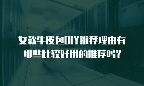 女款牛皮包DIY推荐理由有哪些比较好用的推荐吗？