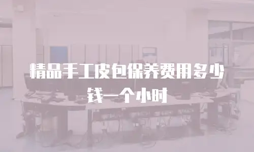 精品手工皮包保养费用多少钱一个小时
