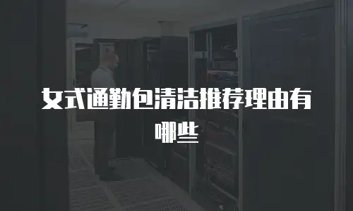 女式通勤包清洁推荐理由有哪些