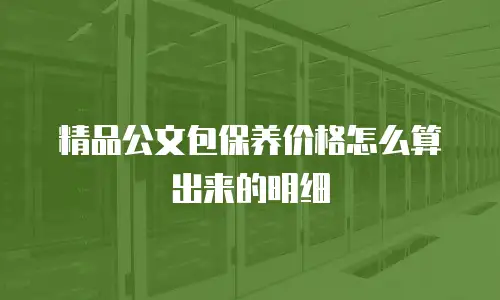 精品公文包保养价格怎么算出来的明细