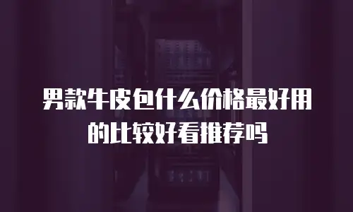 男款牛皮包什么价格最好用的比较好看推荐吗