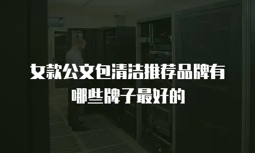 女款公文包清洁推荐品牌有哪些牌子最好的