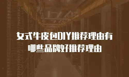 女式牛皮包DIY推荐理由有哪些品牌好推荐理由