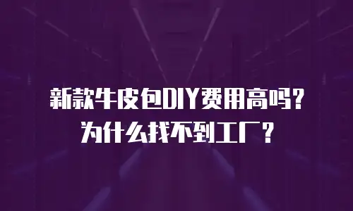 新款牛皮包DIY费用高吗？为什么找不到工厂？