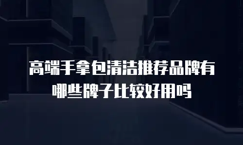 高端手拿包清洁推荐品牌有哪些牌子比较好用吗