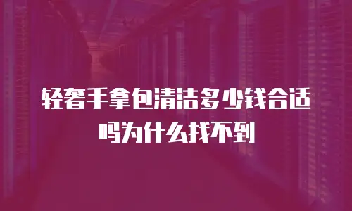 轻奢手拿包清洁多少钱合适吗为什么找不到