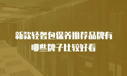 新款轻奢包保养推荐品牌有哪些牌子比较好看