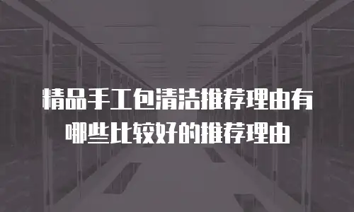 精品手工包清洁推荐理由有哪些比较好的推荐理由