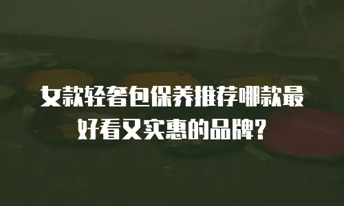 女款轻奢包保养推荐哪款最好看又实惠的品牌？