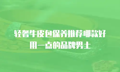 轻奢牛皮包保养推荐哪款好用一点的品牌男士