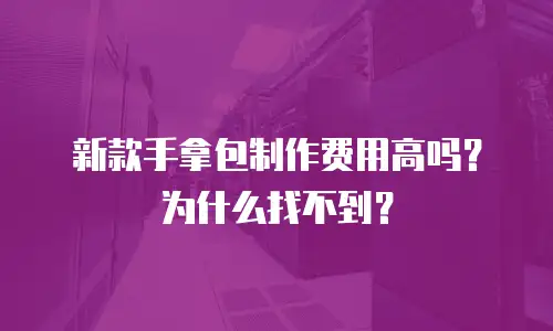 新款手拿包制作费用高吗？为什么找不到？